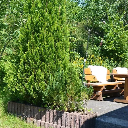 Holiday Ratinger Hatte Tatil Evi Winterberg